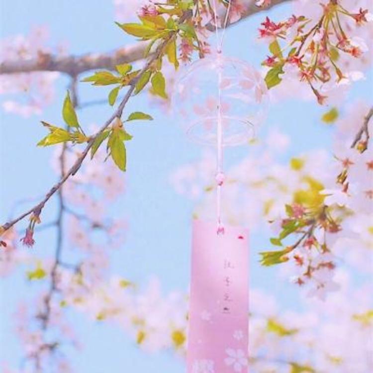 山崎润（饰 三井） - 海外剧字幕组在线观看 - 在线影视